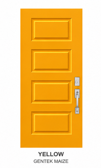 SOHO Style Steel Door