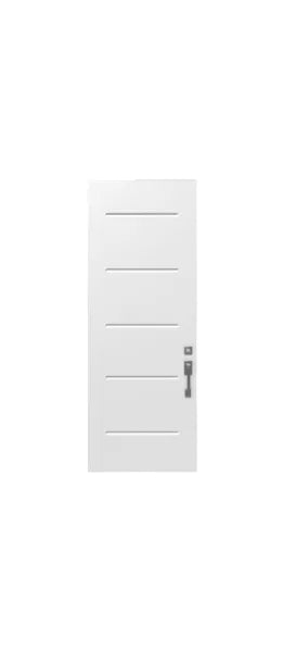 VOGUE Style Steel Door